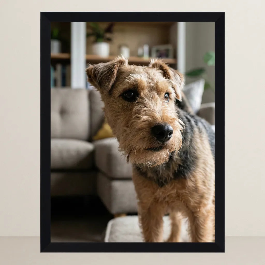 Prima - L'Archeologo