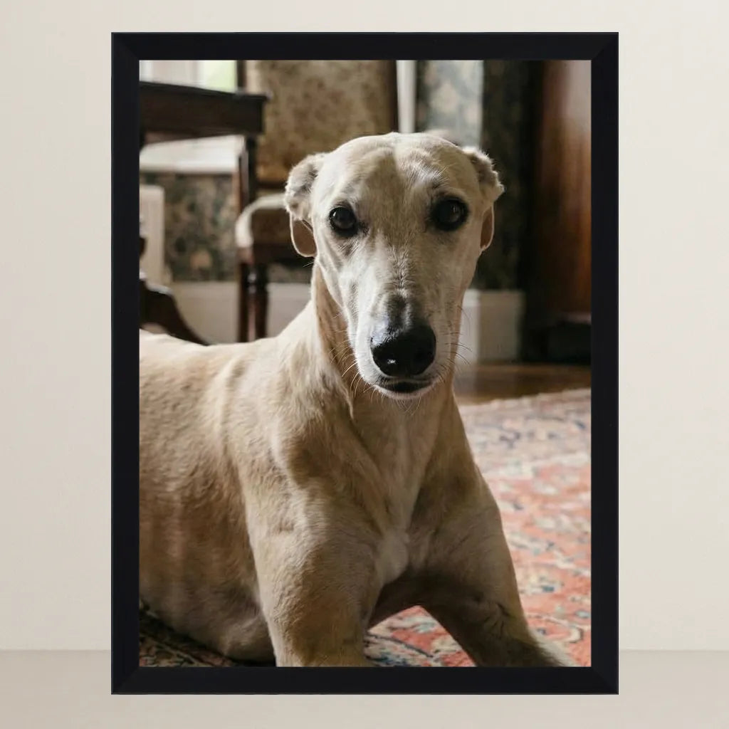 Prima - La Dama in Rosso