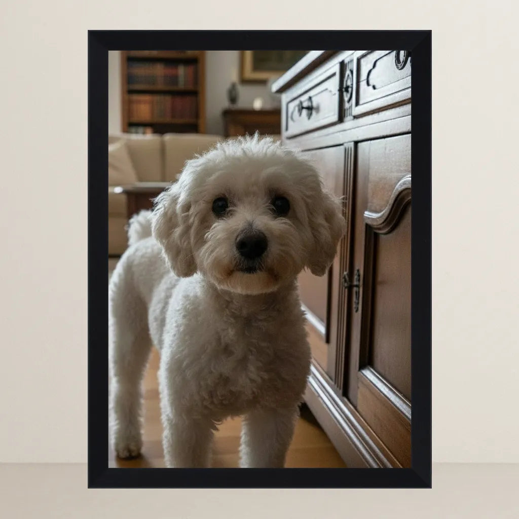 Prima - La Nobildonna