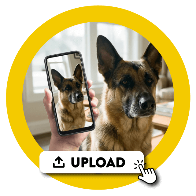 Carica una foto ed effettua l'ordine