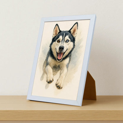 Husky Acquarello stampato su forex, cornice portafoto bianco, misura 21x29.7