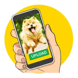 Carica una foto ed effettua l'ordine