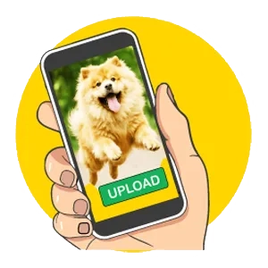 Carica una foto ed effettua l'ordine