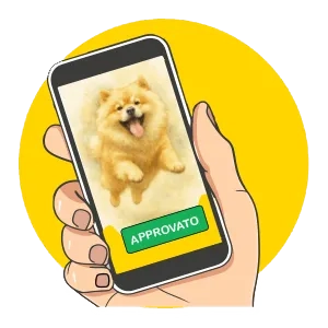 Approva la personalizzazione